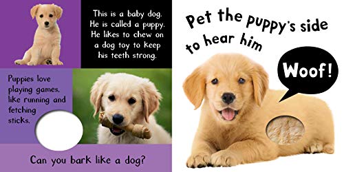 Noisy Baby Animals