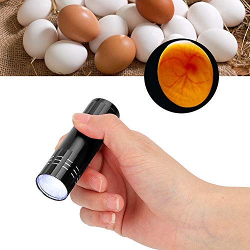 image for GLOGLOW Egg Candler, Egg Candling Lamp Incubator Tester Battery Operat