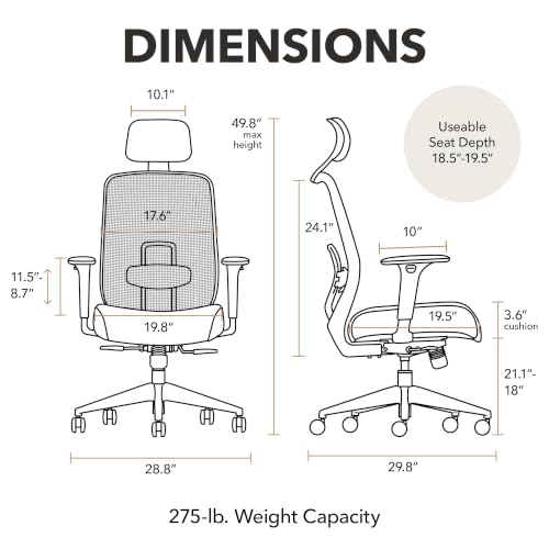 Image of HON Altern Ergonomic Office Chair, Office Desk Computer Chair, Iris