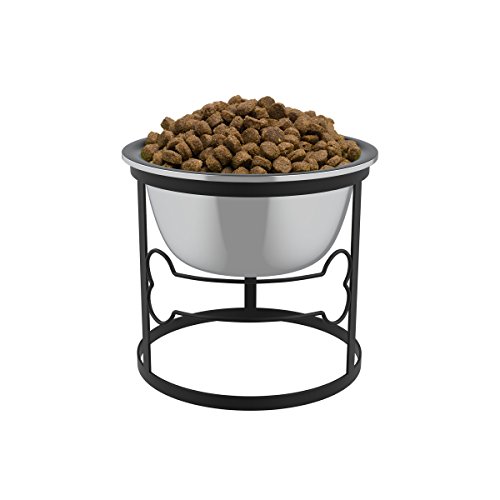 Stainless Steel Elevated Pet Bowl with Stand for Dogs and Cats-Raised Feeder for Food/Water With Removeable Dishwasher Safe Dish- 40 Oz By PETMAKER