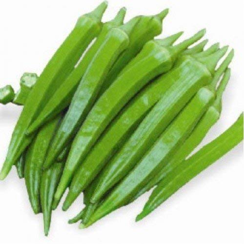 RADHE KRISHNA AGRICULTURE VEGETABLE SEEDS LADY FINGER 100% ORGANIC F1 HYBRID SEEDS PACK (B07W8CHV1Q) Amazon Price History, Amazon Price Tracker