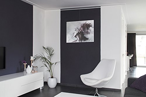 Stas Art Hanging System: Stas Cliprail Pro Alu 200Cm 78.75 Inch + Installation Kit #TOP5