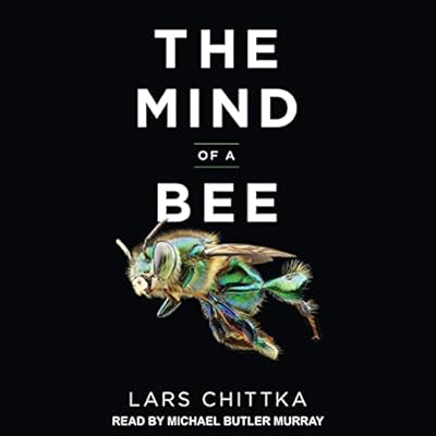 The Mind of a Bee