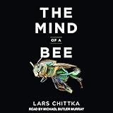 The Mind of a Bee