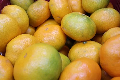 QY ɑ݂5K iƒpjMTCY`2STCY