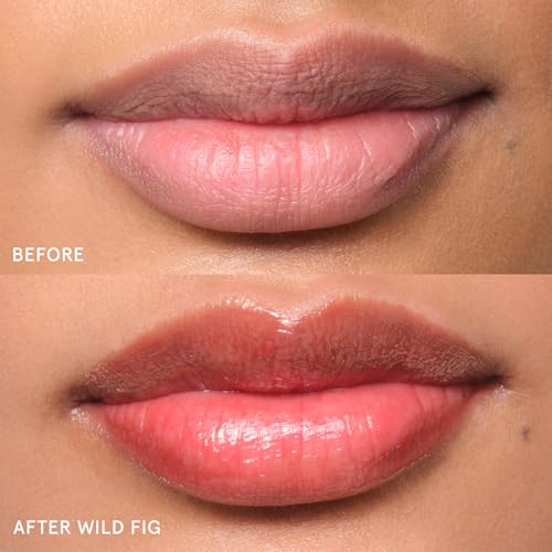 Image of Glossier Balm Dotcom Hydrating Tinted Lip Balm - Universal Salve, Up to 12Hr Moisture for Dry Lips, Cuticles & Skin - Lanolin, Beeswax & Castor Oil - Wild Fig, Honeyed Scent Coral Tint, 15ml