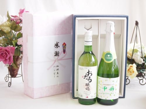 ~̑蕨Ε ӂ̑蕨{bNX 鐶100%iCAKCƍYC2{Zbg(d݂̍bBXp[NOCh(R)720mliCAKC Ì(kC)720ml