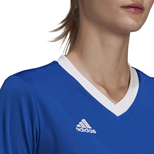 Maillot adidas Entrada 22 anti-transpiration bleu haut sport XXS