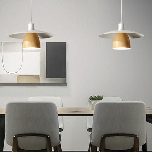 Lampe à suspension pour librairie et déco rétro de style industriel - 2
