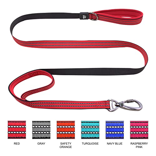 Double Handle Walking/Traffic Heavy Duty Nylon Leash