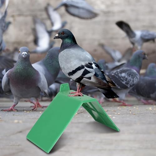 10 Stücke Taubensitzbrett Sitzbrett Taubenruhe Stehen Taubenruhe Rahmen Grill Kunststoff Taubenruhe Rastplatz Vogel Ständer Halter Vogel Liefert Zubehör