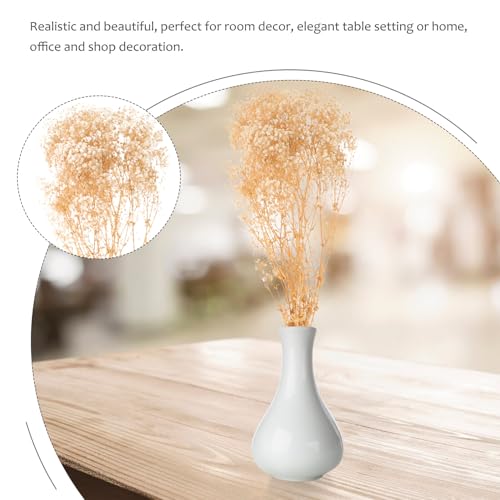 Ramo de flor seca Babys Breath Ipetboom 120g miniatura 3