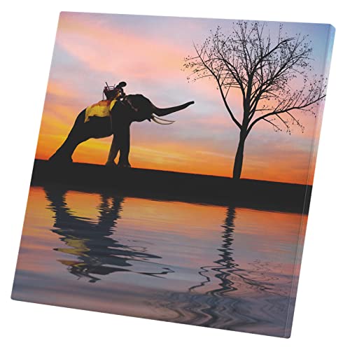 Tableau éléphant d'Asie déco coucher de soleil 60 cm