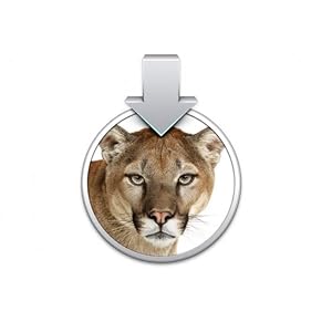 OS X 10.8 Mountain Lion macOS Bootfähiger Bootable USB (Bootstick) für Installation / Update / Downgrade von D-S Systems