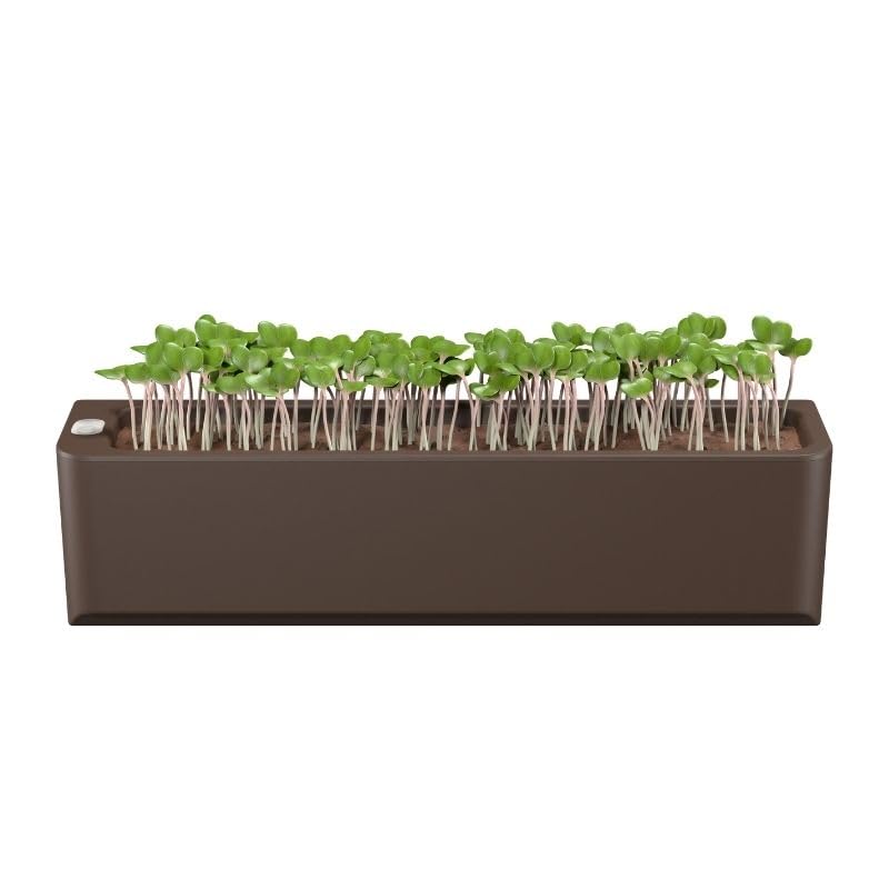 eo Self Watering Plant Pot with Seeds & Soil Starter Kit Indoor and Outdoor Planter for Home Garden Terrace & Offices Small Flower Pot (Terrarium) (Brown) (B0C4KSRVG6) Amazon Price History, Amazon Price Tracker