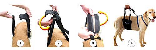 Gingerlead Dog Sling Hip Support Harness, Tall Female Fits Tall, Lean Female Dogs Like Greyhounds Or Great Danes. Padded Lifting Aid To Help Em Up Or Down Steps, In Or Out Of Vehicles. Made In U.s.a. #TOP6