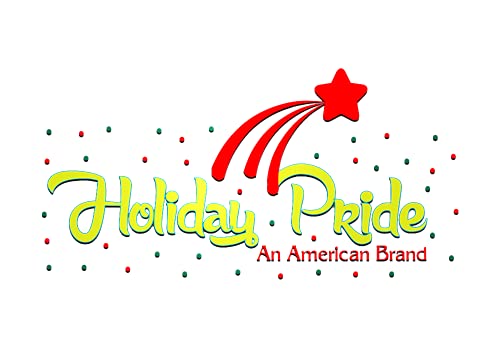 Holiday Pride Battery Operated 20 Mini LED Lights with Green Wire - Perfect for Decorating Christmas Wreaths , Garland , & Small Trees - (Multi)