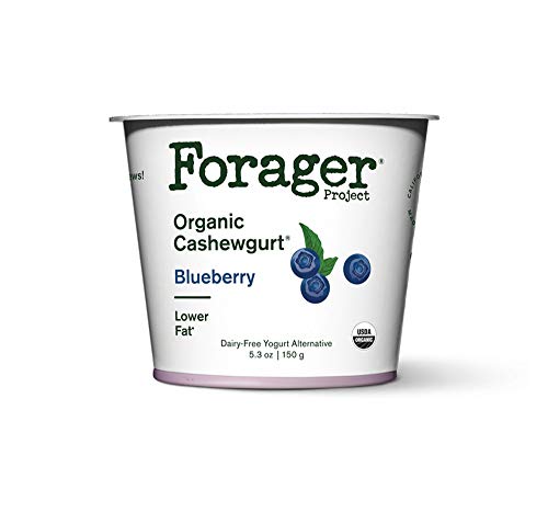 Forager Dairy-Free Usda Organic Blueberry Cashewgurt, 5.3 Oz (Pack Of 12)