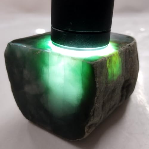 ~}[Y {Ő  A 395.5g No.298