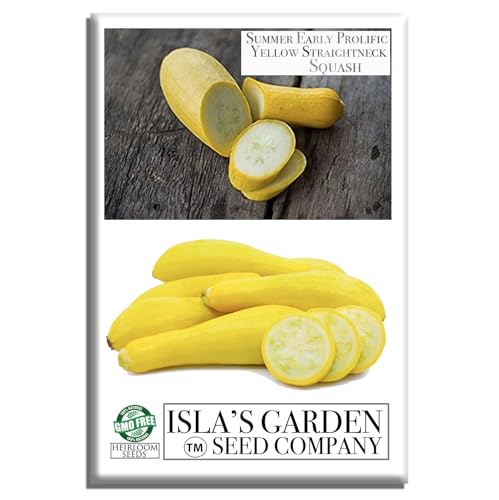 Early Prolific Straightneck Squash Seeds – 50+ Non-GMO & Heirloom Vegetable Seeds, Cucurbita Pepo, Fast Growing Yellow Summer Squash, High Yield for Containers & Gardens, Gift Idea by Isla’s Garden
