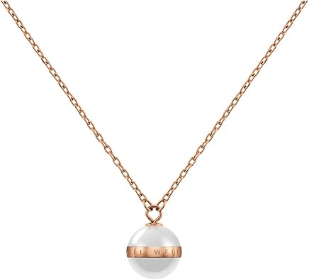 Daniel Wellington Aspiration Necklace