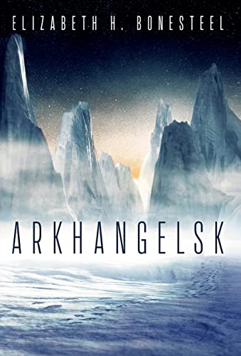 Arkhangelsk view 2
