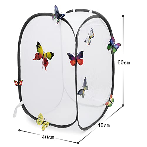 Hyindoor Insekt Und Schmetterling Habitat Käfig Terrarium Schutz Käfig Schwarz