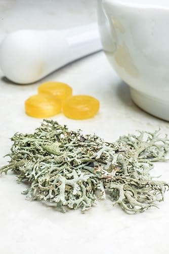 BIO Isländisch Moos Tee I 250 gr I Islandmoos geschnitten I Aus kontrolierte Wildsammlung I Cetraria Islandica I Bio Leis