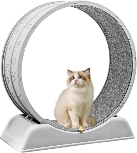キャットホイール 猫 室内用」の人気商品一覧・価格比較 - 価格.com