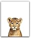 Designs by Maria Inc. Animal Posters | Baby Nursery Decor | Baby Room Pictures Art | Cute Animal Pictures | Set of 6 UNFRAMED Wall Prints | Boy & Girl Baby Room Wall Decor Animal Print (8
