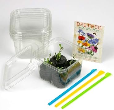 Bee Friendly Garden Starter 25 Projects