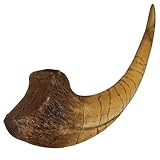 Conception réaliste : ces griffes de dinosaures présentent une apparence fossilisée réaliste et exquise, capturant l'essence des dinosaures anciens..Parfaits pour les amateurs de décoration, ils apportent une touche de charme préhistorique à n'importe quel espace.