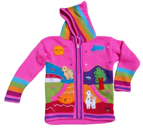 Image of Kids Sweater Handmade Cardigan with Embroidered Details Sweater Hooded Girl Boy Peru Ecuador Bolivia Chile Arpilleras Style.