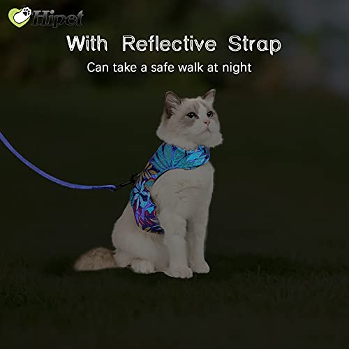 Cat Harness And Leash For Walking Escape Proof Air Mesh Fabric Outdoor Walking Vest With Reflective Strips For Cute Cats And Small Dogs (M, Blue) #TOP3