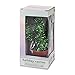 DCI Merry Christmas Cactus Multicolor LED Lights, USB Cable Included, Green, Seasonal Decor