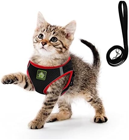 FEimaX Dog Harness and Leash Set for Small Medium Dog Cat No Pull Adjustable Soft Mesh Chihuahua Chest Harness Puppy Reflective Step-in Safety Vest for Outdoor Walking