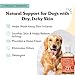 Natural Dog Company Itchy Dog Shampoo 12 oz – Hypoallergenic & Fragrance Free – Aloe Vera, Jojoba & Sea Kelp – Sulfate & Paraben Free – Soothes Dry, Itchy, Irritated Skin – Safe for All Breeds