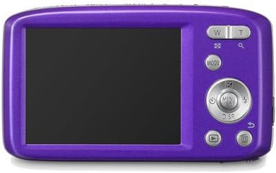 Back view of the Panasonic Lumix S2 Digital Camera with a blank screen, showing control buttons.
