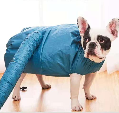 Aidou Pet Asciugacapelli per cani Protable Fast