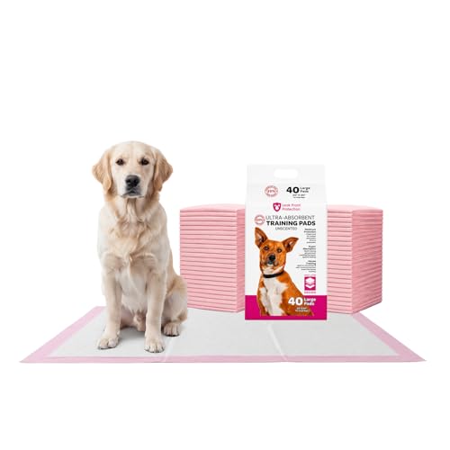 Image of FPN Puppy Pads for Dogs 40 Count 24x24 Inch | Disposable Pee Pads for Dogs & Puppies | Dog Training Pads, Large Pet Training Pads for Potty Training & Indoor Use
