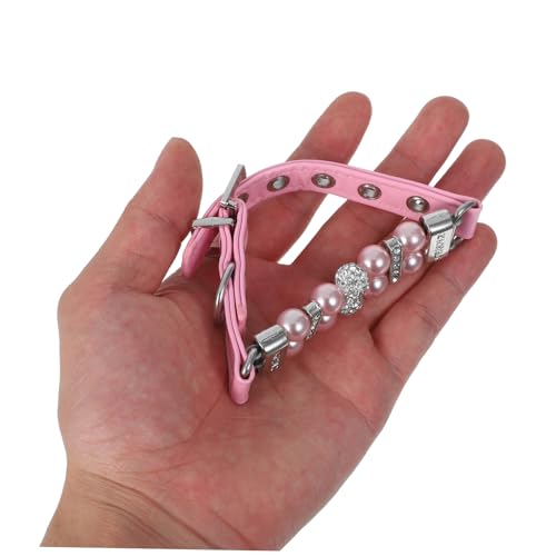 Laisse pour chien de course et collier en perles pour chat