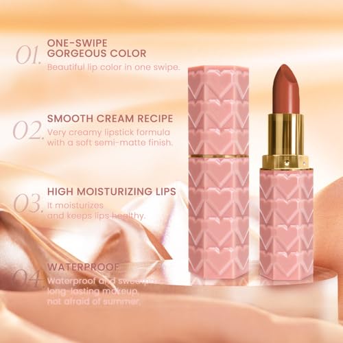 Image of evpct 1Pcs Brown Lipstick, Silky Velvet Matte Lipstick Pack Sets for Women, Long Lasting Smudge Proof Lipstick Lip Stain Makeup Kit matte lipstick 24 hours original N04