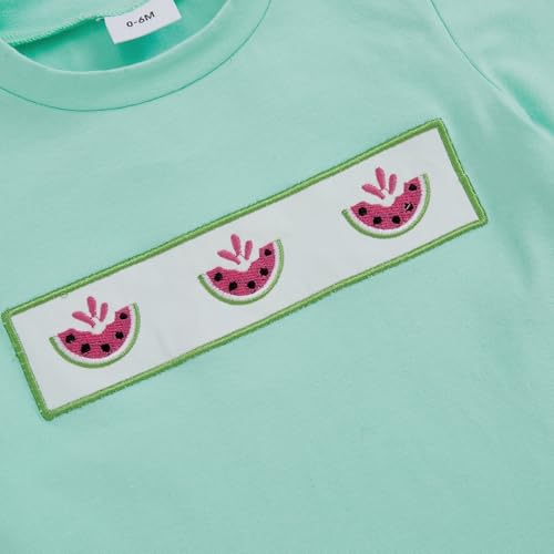 Image of Bonangber Toddler Baby Boy Summer Clothes Fruits Embroidery Short Sleeve T Shirt Plaid Shorts Sets Cute Boys Summer Outfits