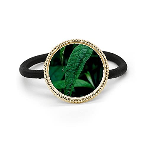 Tocado de goma con hoja de plata ideal para fotografía de naturaleza al aire libre