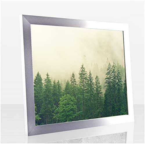 Monaldo Deluxe Bilderrahmen Posterrahmen 80 x 40 cm Alu Gebürstet Optik Wechselrahmen weisser Hintergrund klares Kunstglas Cover