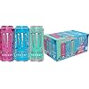 Monster Energy Variety Pack, Can, Blue Hawaiian, Vice Guava, Fantasy Ruby Red, Sugar Free Energy Drink, 16 Ounce (Pack of 15)