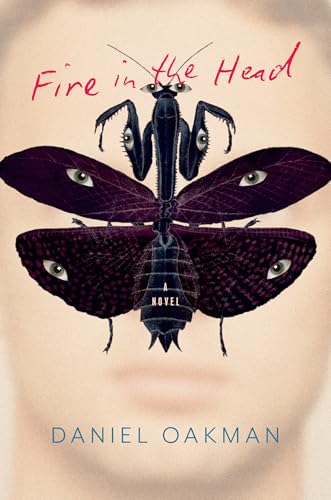 Fire in the Head view 2