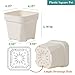 BangQiao 30 Pack 4.15 Inch White Plastic Square Nursery Seedlings Pot for Succulent, Cutting, Transplanting