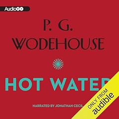 Hot Water Audiolibro Por P. G. Wodehouse arte de portada