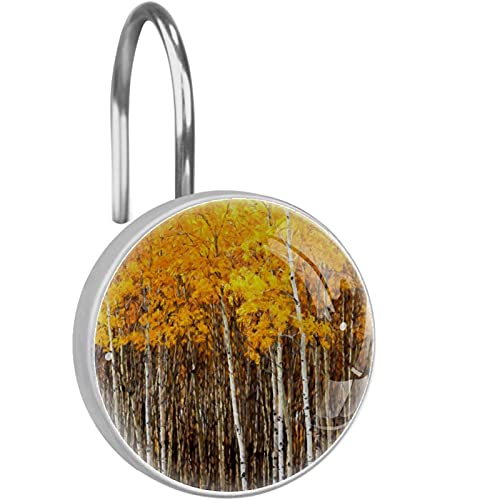 Crochets pour rideau de douche forêt d'automne en acier inoxydable x12